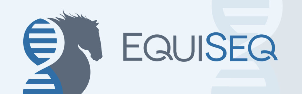 EquiSeq Custom Django App Development