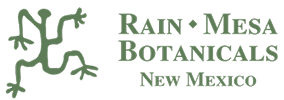 rain mesa